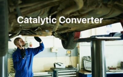 Catalytic converter theft