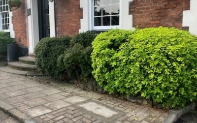 Royal Parade – Drop Kerb