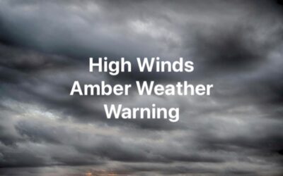 High Winds Amber Weather Warning and Tree Reporting