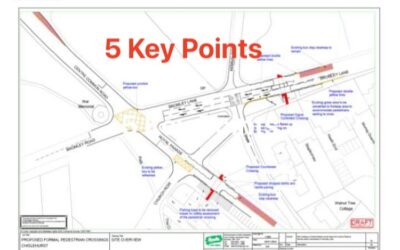 New Pedestrian Crossing Near Royal Parade Chislehurst