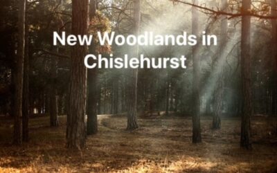 New Woodlands in Chislehurst