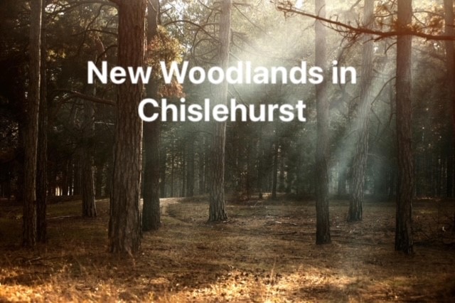 New Woodlands in Chislehurst