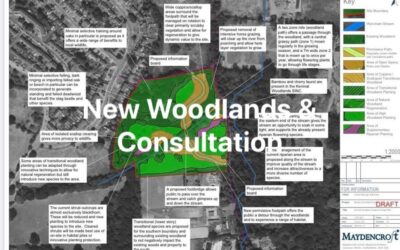 New Woodlands in Chislehurst & Consultation