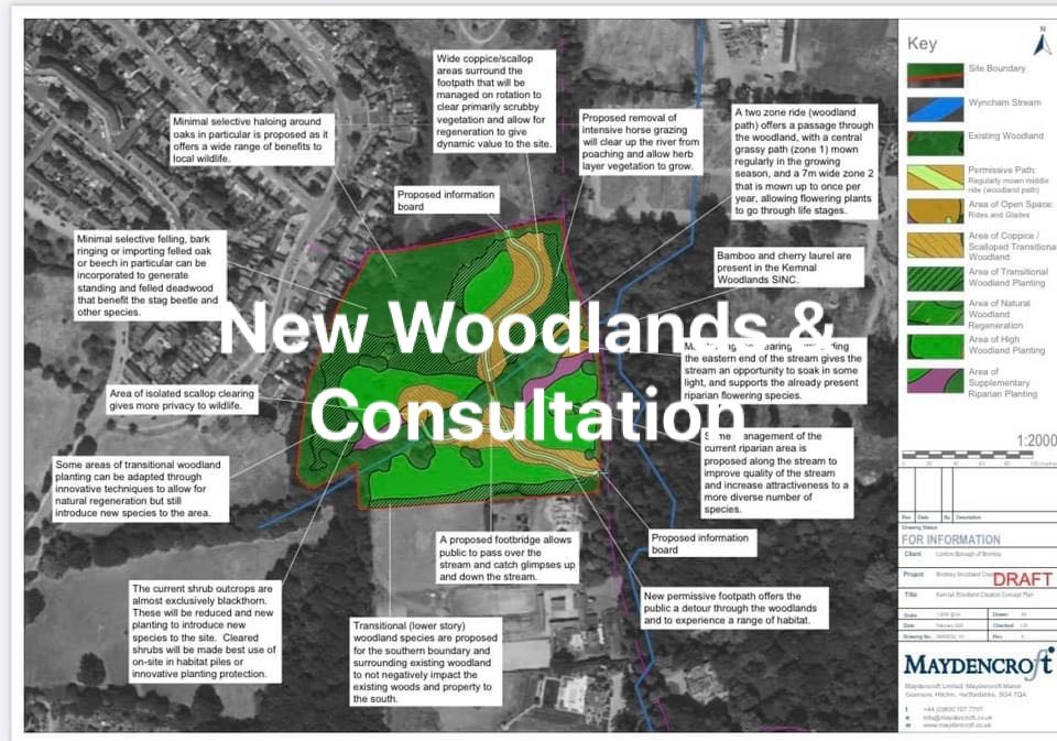 New Woodlands in Chislehurst & Consultation