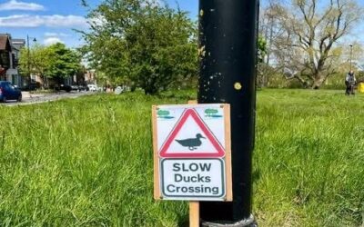 Road Safety on Ashfield Lane Update