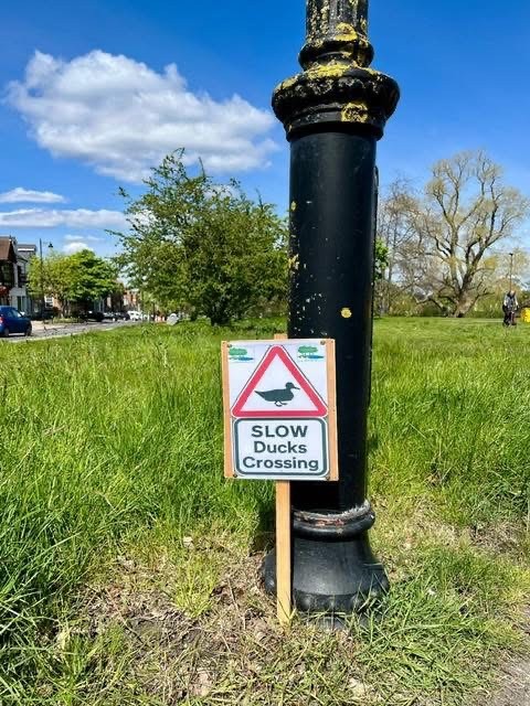 Road Safety on Ashfield Lane Update